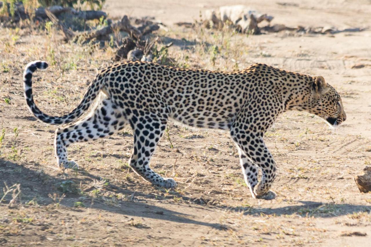 Sefapane Lodge And Safaris Phalaborwa Exterior foto