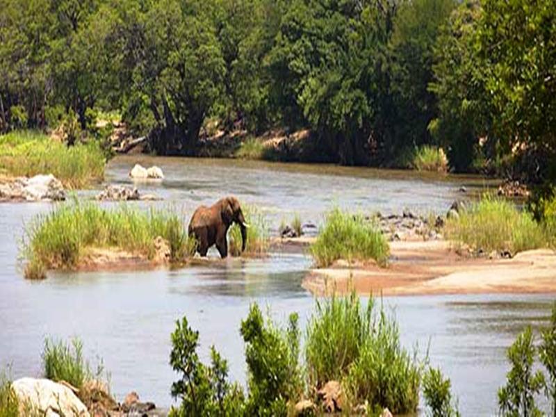 Sefapane Lodge And Safaris Phalaborwa Exterior foto